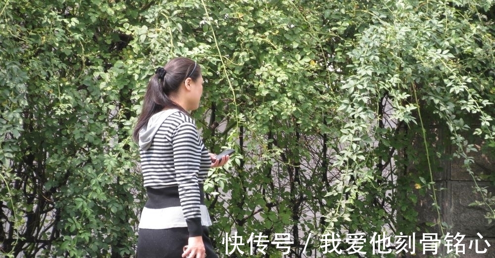 女人|女人年老后，为何会更加需要夫妻生活？