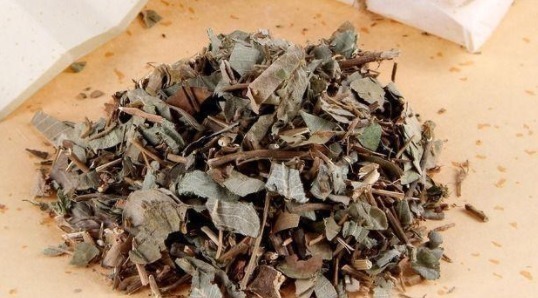 过敏性体质|1味药轻松化解痔疮!告别有“痔”之士头衔,不妨为身边的人保存