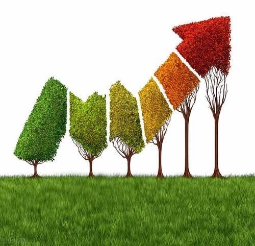 艺术家|黄欣伟：网红不是终极诉求，可持续发展才是