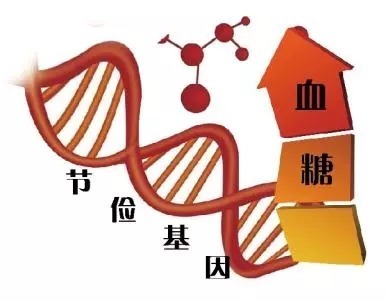 并发症|【科普】糖尿病饮食护理
