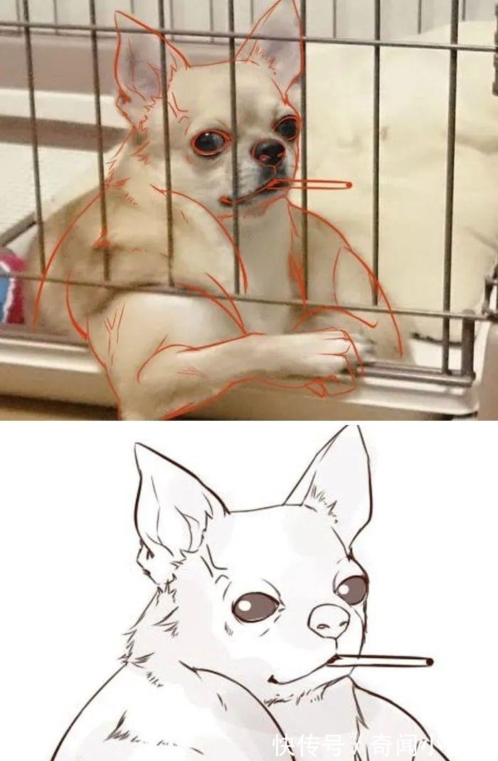 错觉！10个让人产生错觉的照片，被插画家涂抹几笔后，才能看懂