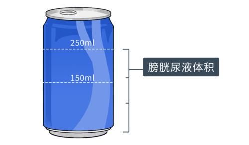 晚上小便超过这个次数,当心身体出了问题!