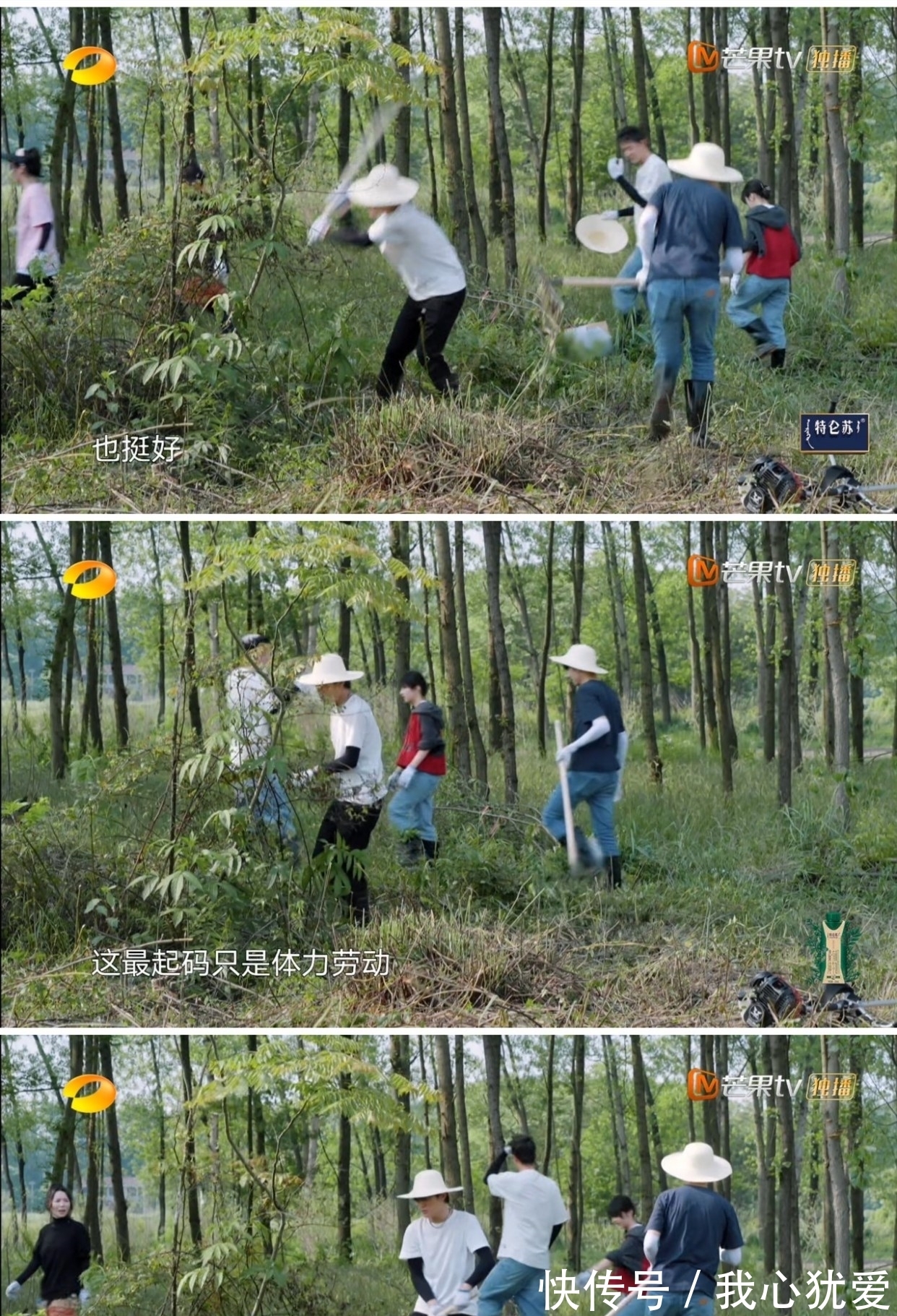 明星|10个明星做客《向往的生活》,为何只有3个明星可以留下来过夜