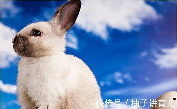 寿命|75年生肖兔的毕生寿命，过了45岁后什么命？句句说到心坎里！