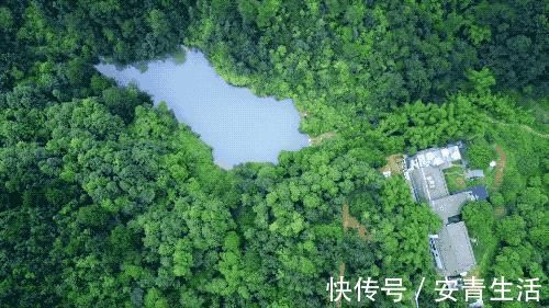 大堰塘|一家四口隐居深山中,三年无经济收入,他们凭什么生存