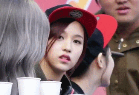 GIF|搞笑GIF:就是这只猫,在家里比我的地位都高