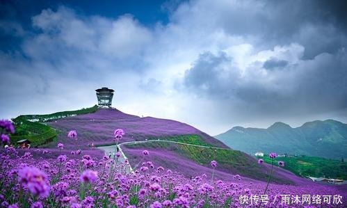  穿过|穿过风沙，提剑的中年人破不开《道德经》没关系，可以这样学老子