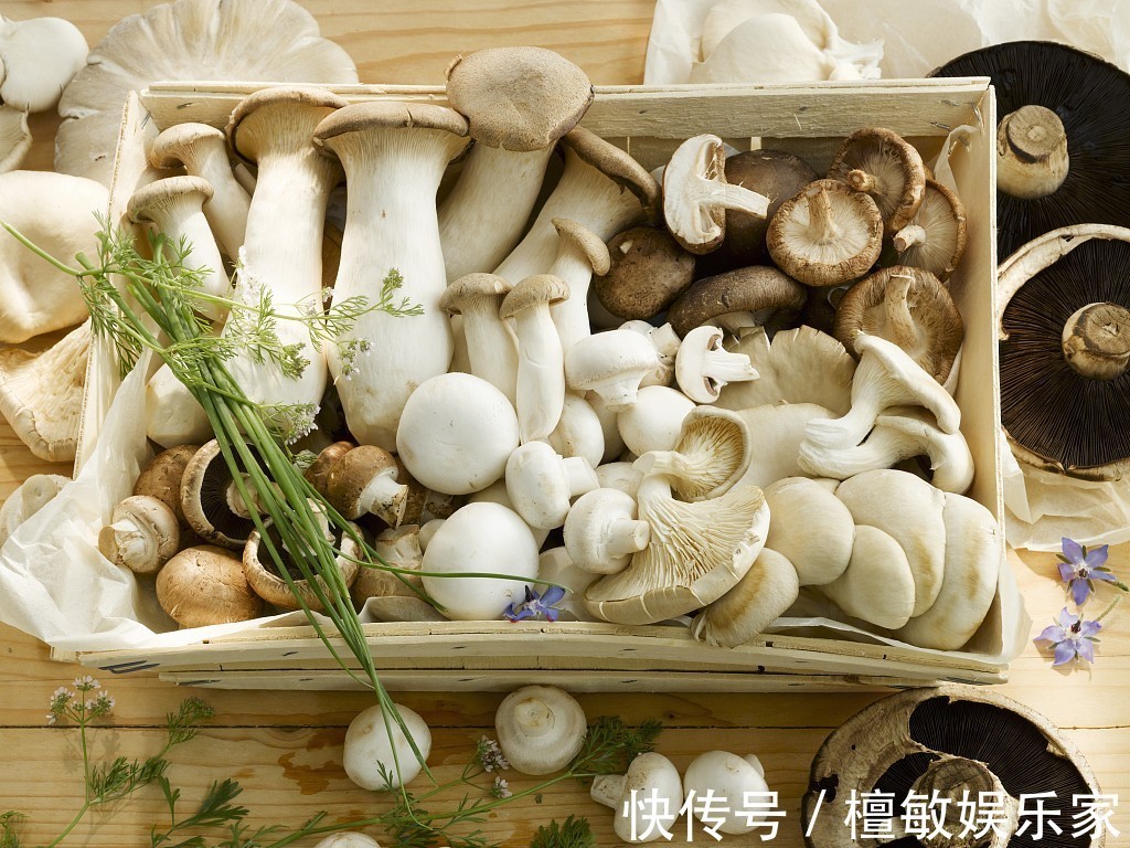 提高免疫力|为何免疫力难提高8种食物不要错过,增强免疫力,希望你了解下