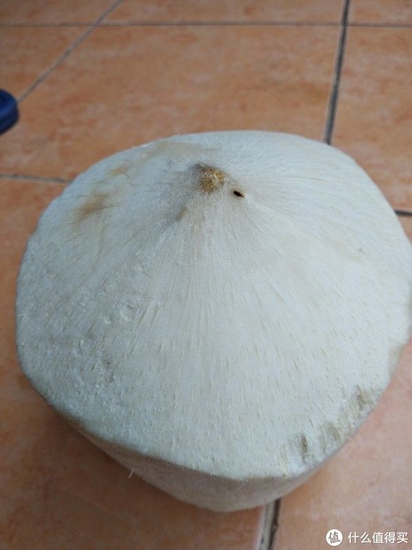 过年在家也能做的简单糖水炖品-椰子奶炖蛋