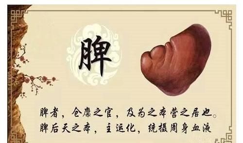 脾虚的人请记住：做好这几个调理，脾胃会“强大”起来