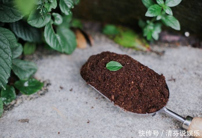 不是什么土都能养花!30年老花农这样配土,网友发现细节有猫腻