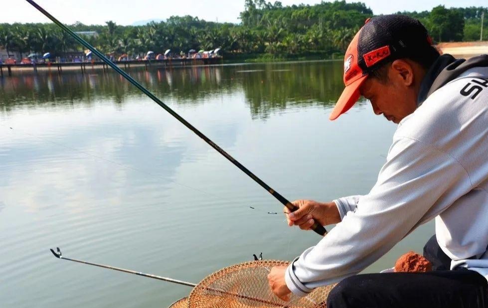 黑坑鱼突然停口怎么回事？老钓手教你妙招轻松解决