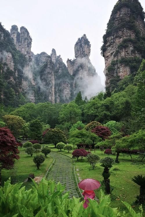 一场春雨，将张家界武陵源泼成了一幅幅山水画