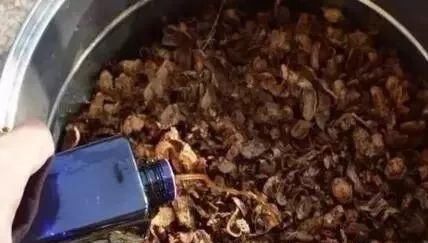  生活|3种没人要的“玩意”，捡一点养花，肥效好，还防冻！