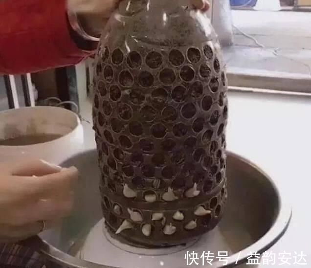 家里的塑料油桶别扔,有3个“妙用”,种菜效率高,扦插生根快