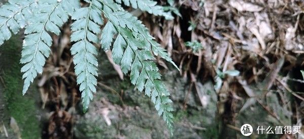 山阴道上行 如在画中游|旅行日志 篇一：绍兴 · 萧绍古道 | 中年