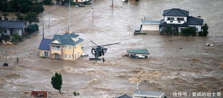 当全网都在催关晓彤给鹿晗庆生时,一场关乎全人类的灾难正悄然降临……
