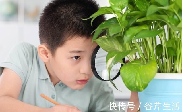 作业|“爸爸的心脏5小时跳20下你成功把你爸送走了”网友不敢惹