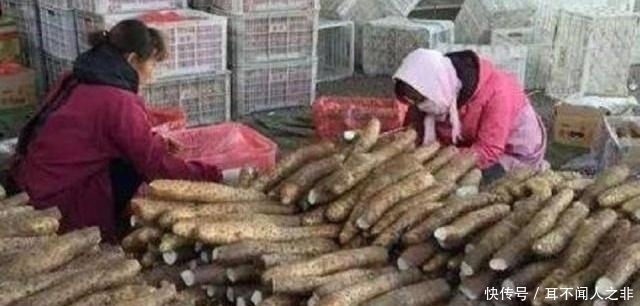 良心菜贩子的建议:要买到好山药,这3种不要碰,千万别浪费钱