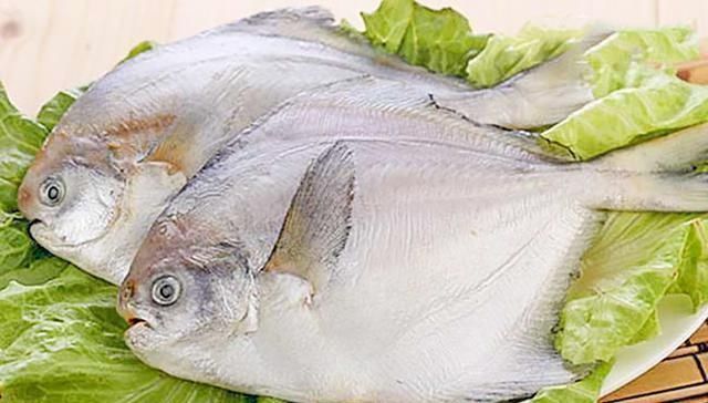 海鱼|以后去市场,就买这5种海鱼,便宜又好吃,鱼铺老板都要夸你懂行