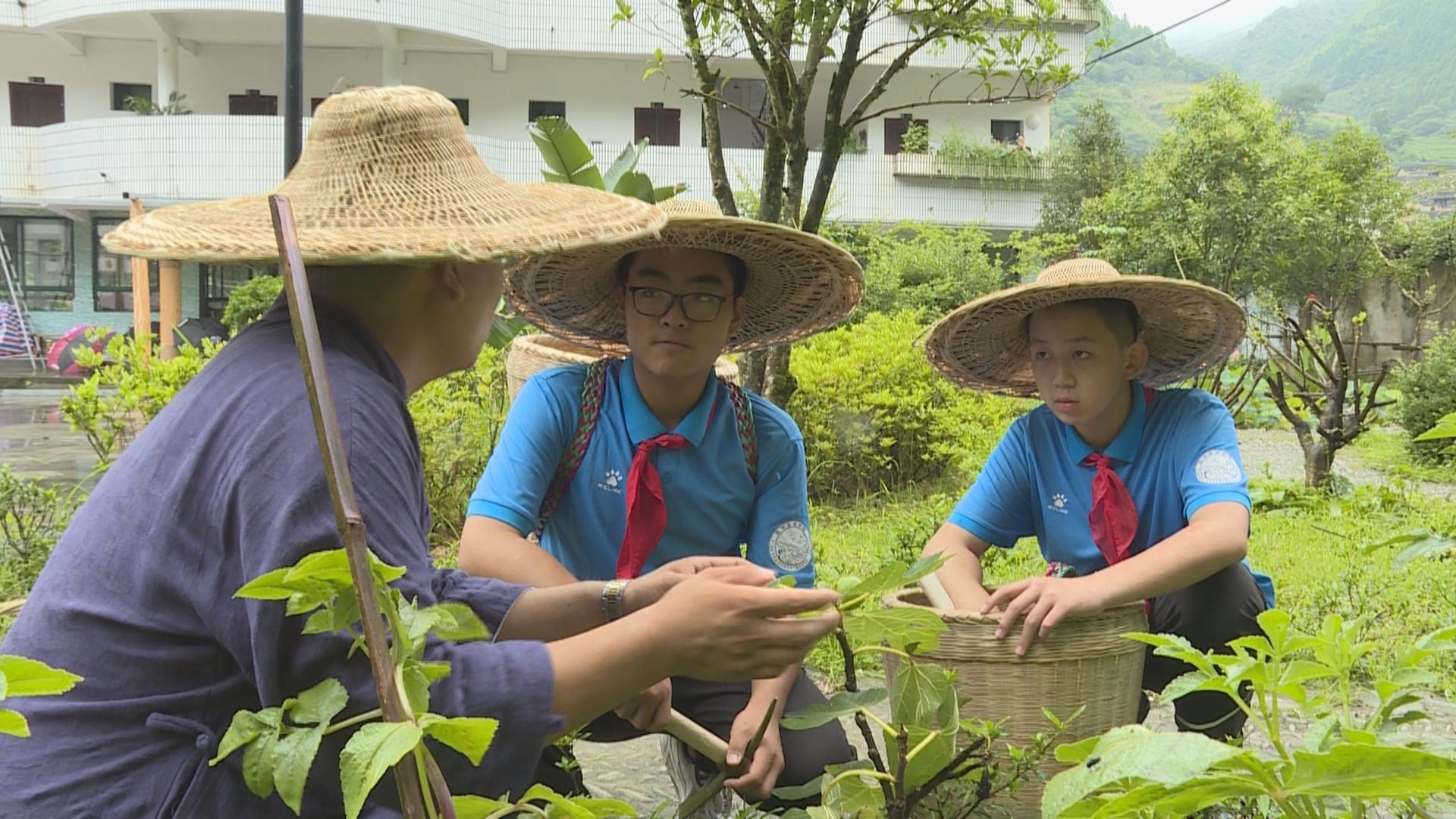 英华实验学校|景宁：非遗文化进校园开创传承新模式