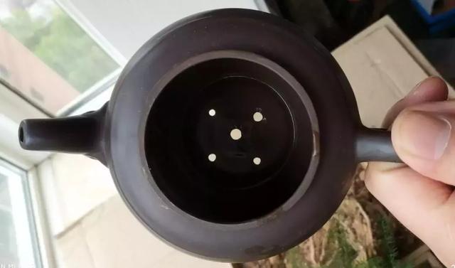 旧茶壶种点花,秒变高端盆景,卖300一个邻居抢着要