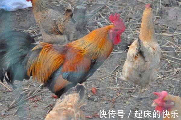 幽默$千年前搞笑幽默的3首古诗词,文采飞扬,令人忍俊不禁