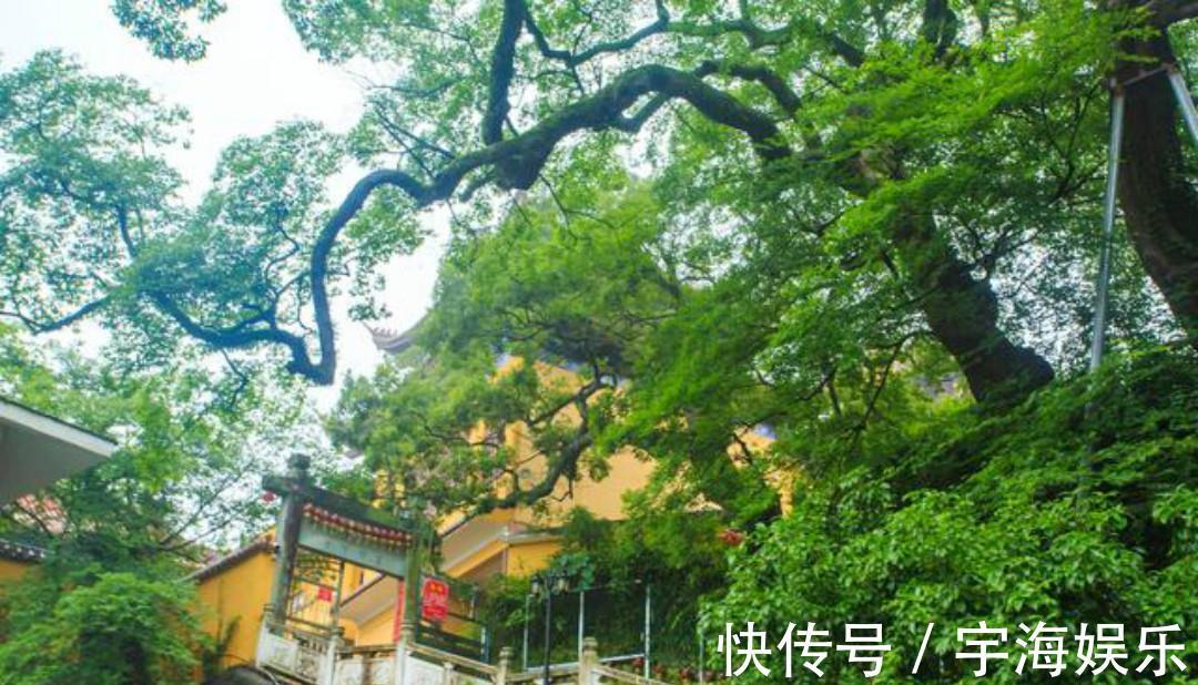 古离别@多情的高僧写下一首爱情词,通篇无一字不深情,每一句都感人至深