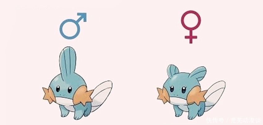 宝可梦御三家全部形态