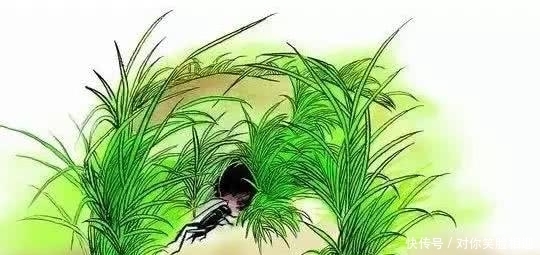 蟋蟀,就是最美秋日诗词