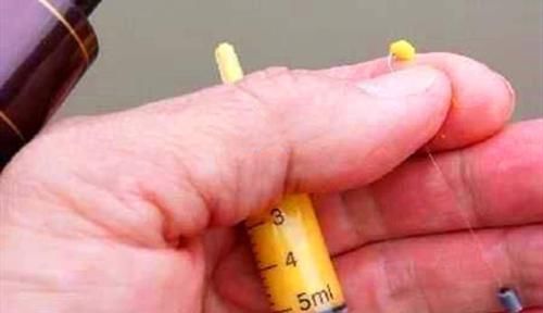 钓鱼必杀技:盘点民间这些用饵“野路子”,大鲫连竿的秘密绝招!