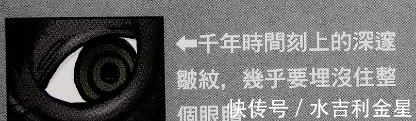 情报|海贼王官方情报身高超35000米，一鼻甩飞三灾JACK, 巨大生物象主
