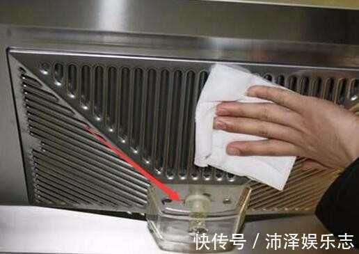 只需简单一招，绿萝吊兰疯长不停，长出1米很随意