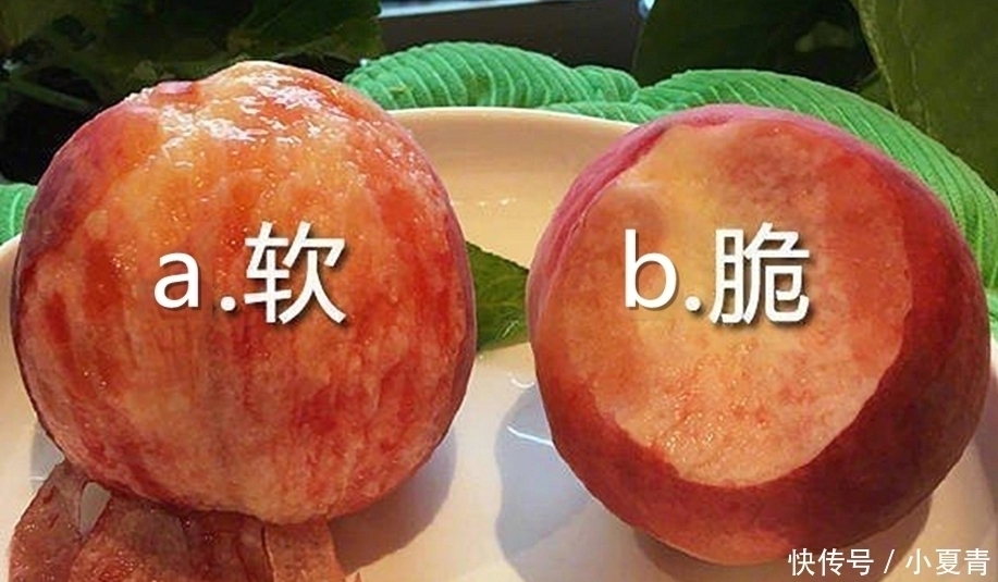 差异|南北方口味差异有多大甜咸之争只能算小事,这些才是众口难调