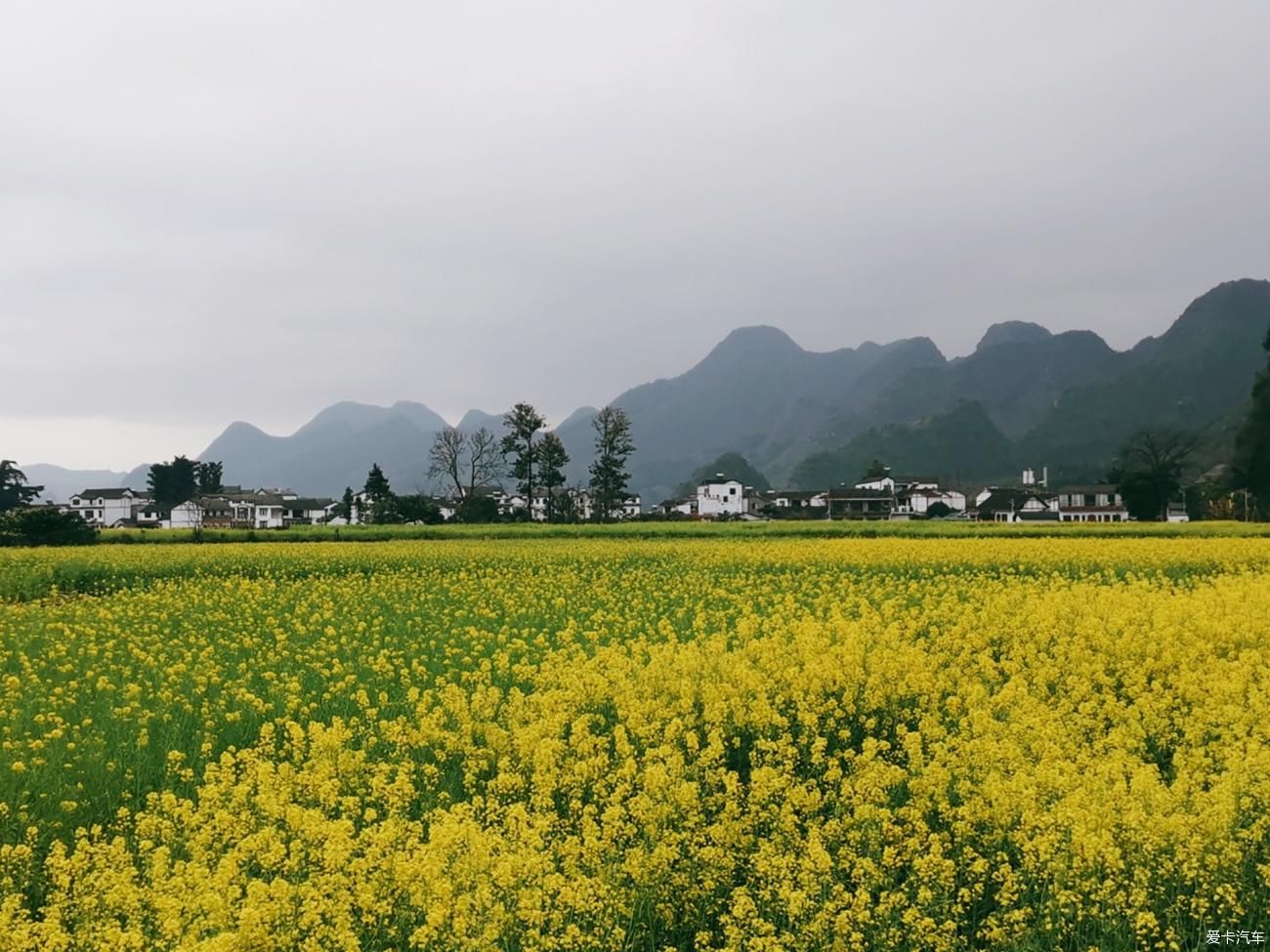 天下山峰何其多，唯有此处峰成林