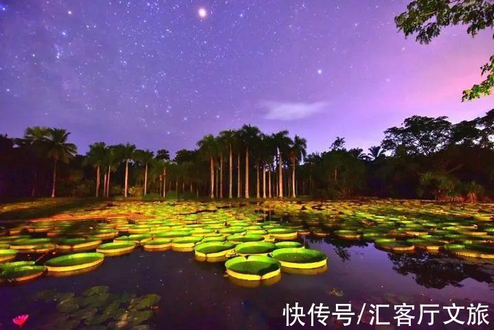 景迈山|原始雨林媲美缅甸，佛塔僧侣不输泰国，完美“复刻”东南亚风情