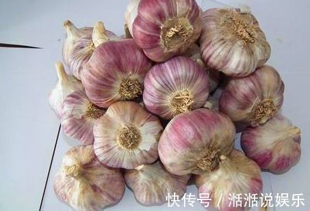 大蒜|总是把花儿养死隔壁大爷说,你加点它呀,保你养一盆旺一盆