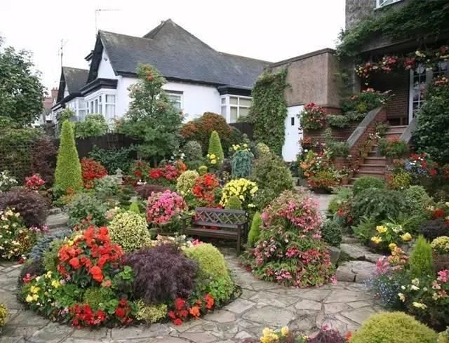  绝美|7旬夫妻用27年建绝美花园，全球花友慕名来“探花”