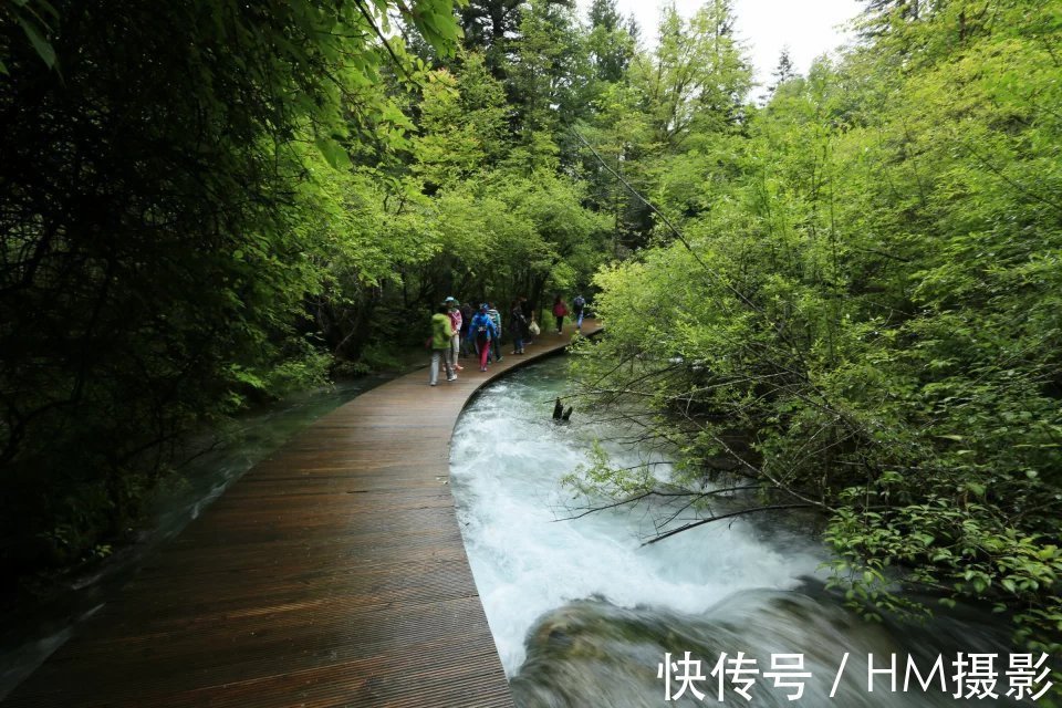 海子|神奇的人间天堂 九寨沟