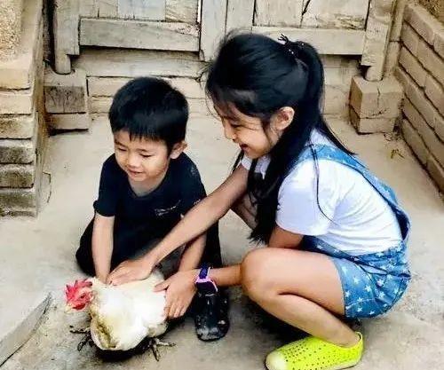 乖怂|二宝欲上前“捣乱”,被姐姐一个“眼神杀”吓退,乖怂表情亮了