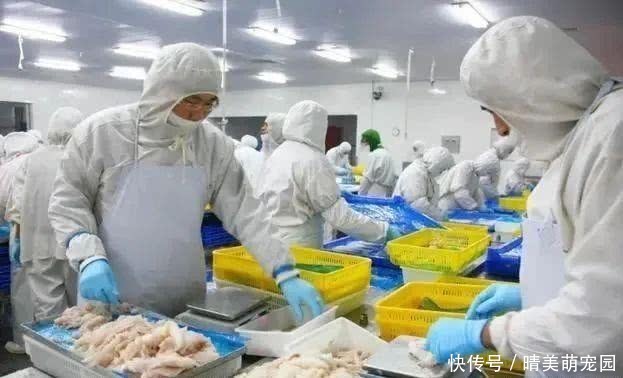 61岁老汉查出脑溢血,医生问其病因,保姆哭诉经过,儿女低头不语