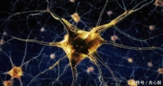 饮食习惯|老年痴呆经典测试图这张图中有一只猫，我猜你百分之百找不到