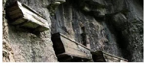 敬意#传承千年的土葬制度被改火葬,为何北大教授会说:遗体当垃圾处理