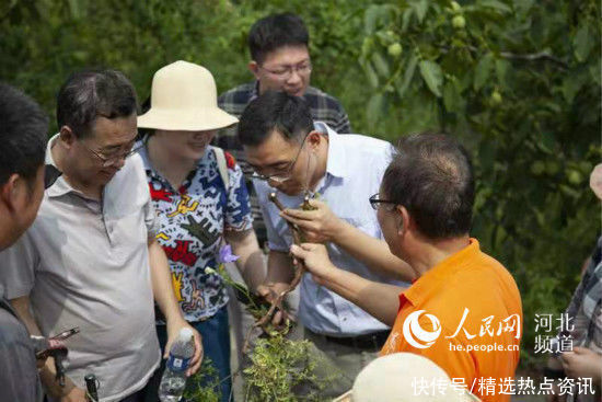 刘春生|北京中医药大学带领专家来到平山义诊研学