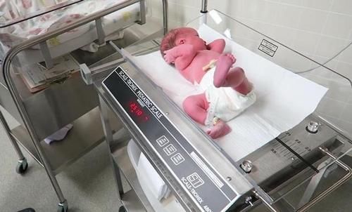 新生儿|哈佛大学最新研究：新生儿体重接近这个数值，大脑发育才更良好