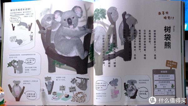 敦姐#囤书季~6套超适合亲子共读~小朋友超爱的儿童童话~绘本科普读物推荐~