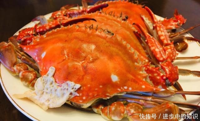 蒸螃蟹,只肚脐朝上是“外行”!教你正确做法,鲜香入味不流黄
