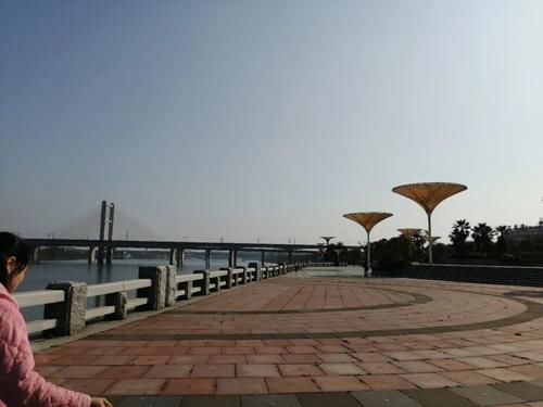 亲历｜沿湘江河畔走走——白沙洲铜桥港