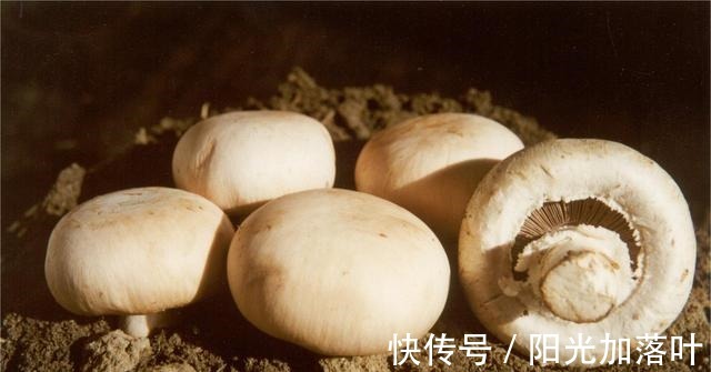 常吃|三伏天,有钱没钱,都要常吃这6种碱性食物,让家人顺利度过夏天!