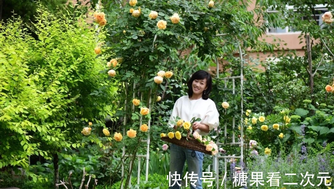 王俐|服装设计师兼花园设计师，裁剪最美的花园时光